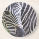 Pesquisar por jardim zoológico porta copos Safari