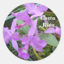 Pesquisar por plantas da orquídea Florescência