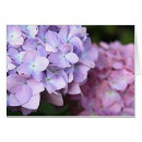 Pesquisar por hydrangea roxo Floral