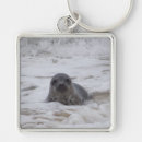 Pesquisar por selo animal chaveiros Praia