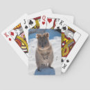 Pesquisar por beach baralhos Animal