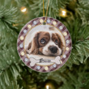 Pesquisar por ossos ornamentos Cão