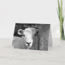 Pesquisar por cute lamb cartoes Qualquer pessoa