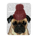 Pesquisar por animals imas Animais