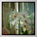 Pesquisar por original fotografia Natureza