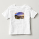 Pesquisar por martinho camisetas Barco