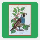 Pesquisar por quail adesivos Codorna