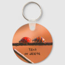 Pesquisar por ladybug chaveiros Fofo