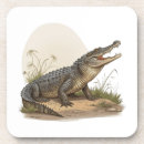 Pesquisar por crocodilo porta copos Réptil