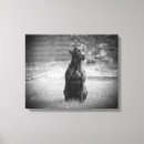 Pesquisar por labrador preto impressão de canvas Filhote de cachorro