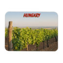 Pesquisar por vinhedo imas Vinha