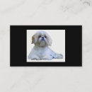 Pesquisar por shih tzu cartao de visita Cães