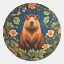 Pesquisar por capybara adesivos Componente genérico