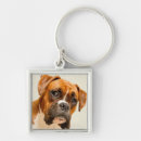 Pesquisar por filhote de cachorro do chaveiros Retrato