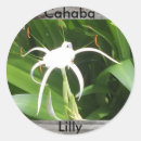 Pesquisar por bloqueio adesivos Qualquer pessoa