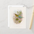 Pesquisar por abelha vintage cartoes postais Natureza