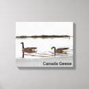 Pesquisar por canadense impressão de canvas Vida selvagem