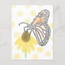 Pesquisar por borboletas cartoes postais Flor