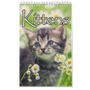 Pesquisar por adorável calendarios Gatos