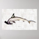 Pesquisar por shark artes pósteres Vintage