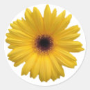 Pesquisar por cunha adesivos Cunho