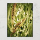 Pesquisar por alma gémea cartoes postais Amor