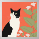 Pesquisar por gato branco pósteres Felino