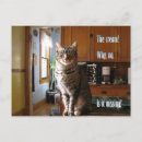 Pesquisar por gato geek cartoes postais Humor