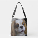 Pesquisar por cavalier bolsas Blenheim