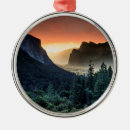 Pesquisar por alvorecer ornamentos Floresta