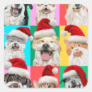Pesquisar por feliz natal papai noel adesivos Férias