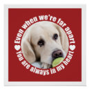 Pesquisar por separado pósteres Tipografia