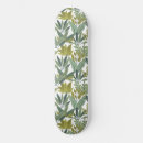 Pesquisar por plantas skates Folhagem