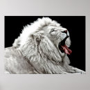 Pesquisar por leão abstrato pôsteres pósteres Safari