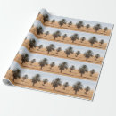 Pesquisar por paisagens papel de presente Deserto