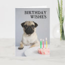 Pesquisar por pug feliz cartoes Cachorrinho