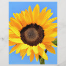 Pesquisar por amarelo papel timbrado Girassol