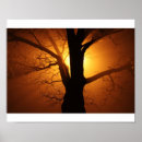 Pesquisar por laranja cor pôsteres pósteres Luz