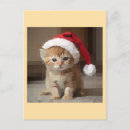 Pesquisar por gatinho papai noel cartoes postais Vermelho