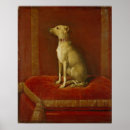 Pesquisar por cão galgo italiano artes pósteres Animal de estimação
