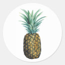 Pesquisar por abacaxi amarelo adesivos Tropical