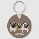 Pesquisar por filhote de cachorro do pug chaveiros Pugs
