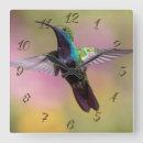 Pesquisar por pássaro bonito relogios de parede Animais