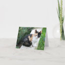 Pesquisar por paródia convites Humor