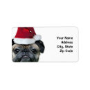 Pesquisar por do pug etiquetas Animais