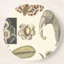Pesquisar por copo animal porta copos Natureza