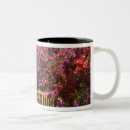 Pesquisar por jardim sul canecas Rhododendron spp