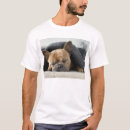 Pesquisar por bulldog francês camisetas Animal