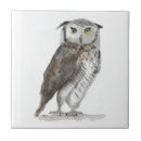 Pesquisar por coruja bonito azulejos Animal