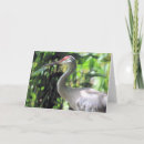 Pesquisar por crane cartoes Pássaro